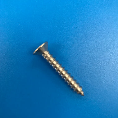 Emaux Skimmer Face Plate Screw